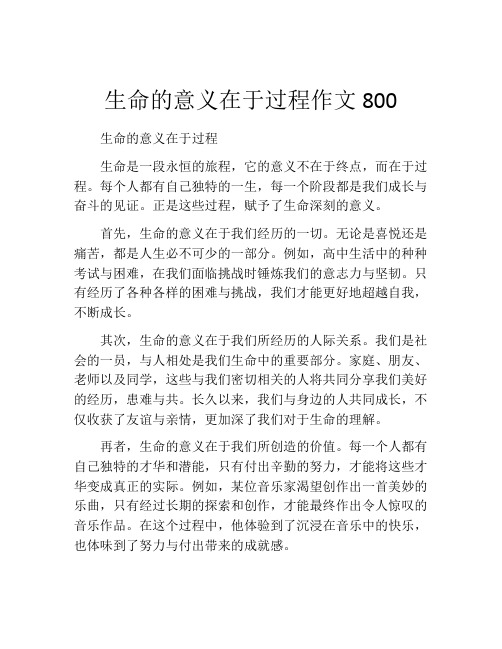 生命的意义在于过程作文800