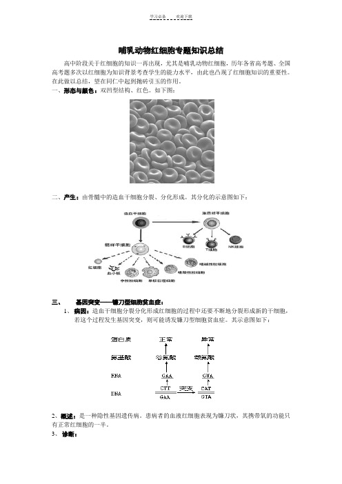 哺乳动物红细胞专题知识总结