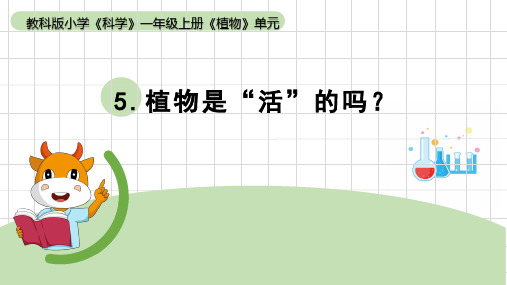 植物是活的吗小学科学一年级上册PPT课件