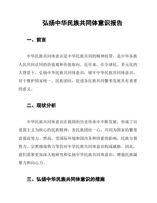 弘扬中华民族共同体意识报告