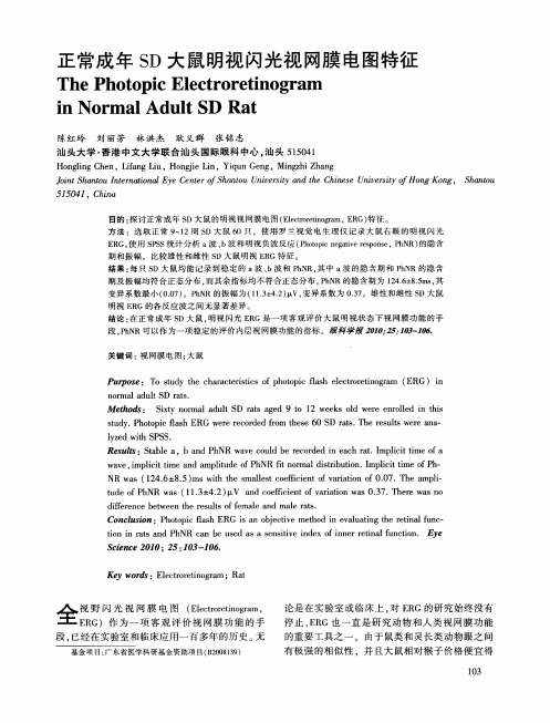 正常成年SD大鼠明视闪光视网膜电图特征