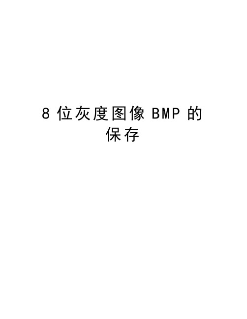 最新8位灰度图像BMP的保存汇总