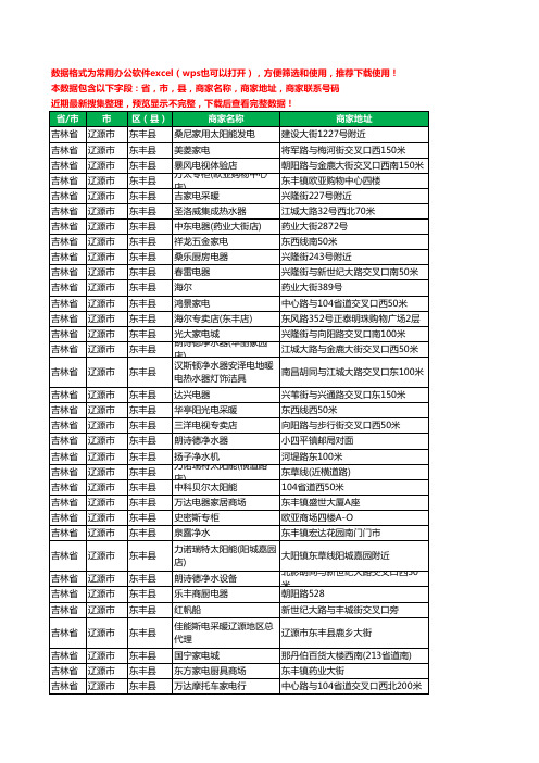 2020新版吉林省辽源市东丰县家用电器工商企业公司商家名录名单黄页联系电话号码地址大全63家