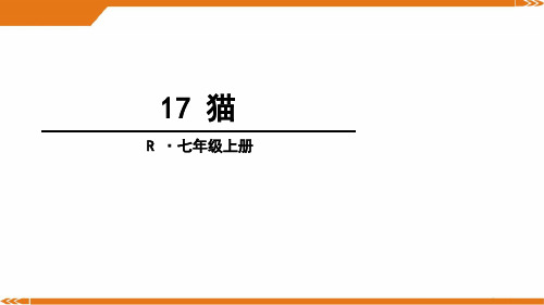 人教版语文七年级上册17猫-课件