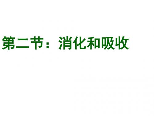 七年级生物下册4.2.2消化和吸收课件(新版)新人教版