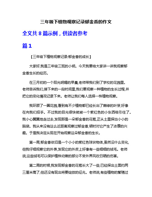 三年级下植物观察记录郁金香的作文