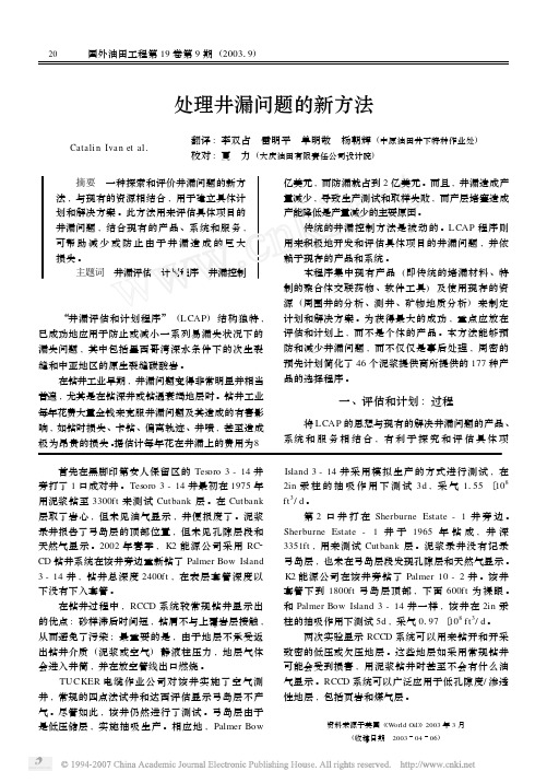 处理井漏问题的新方法