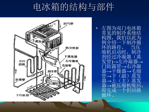 电冰箱的结构与部课件