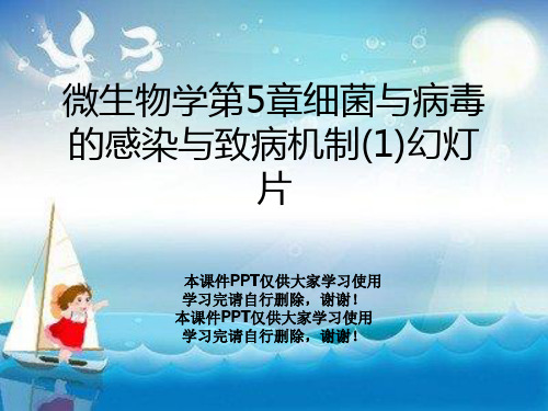 微生物学第5章细菌与病毒的感染与致病机制(1)幻灯片