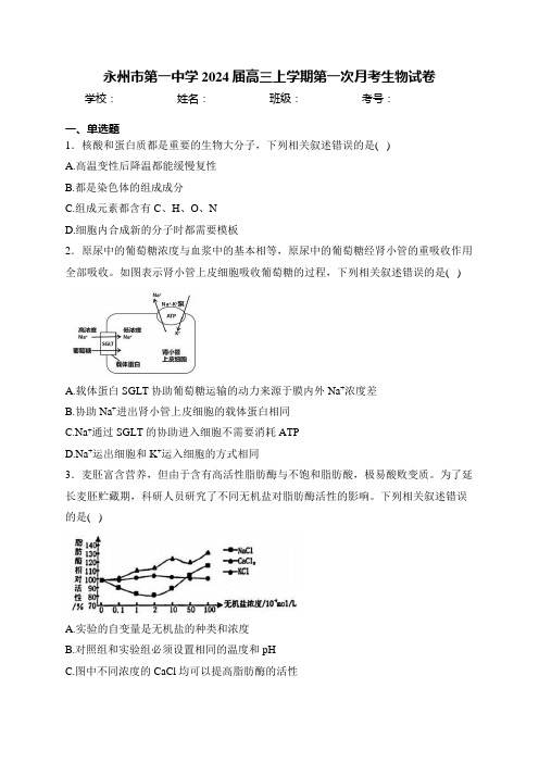 永州市第一中学2024届高三上学期第一次月考生物试卷(含答案)