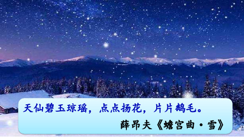 《沁园春雪》赏析与精编习题