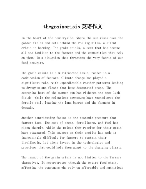 thegraincrisis英语作文