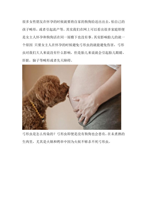 怀孕了为什么不能养宠物？其实就是怕它们身上的这个东西