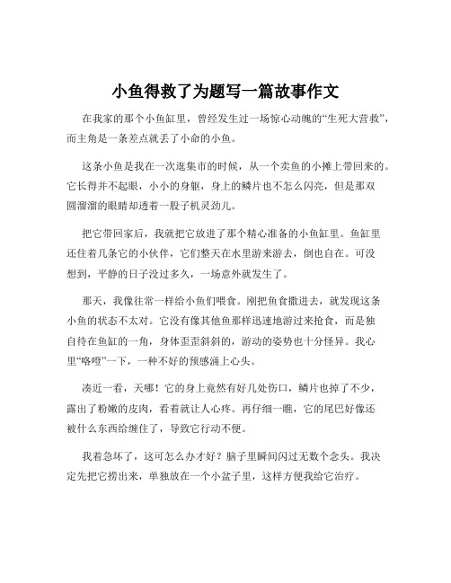 小鱼得救了为题写一篇故事作文