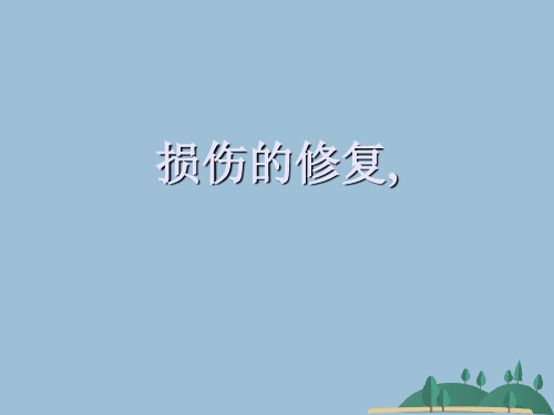 损伤的修复,