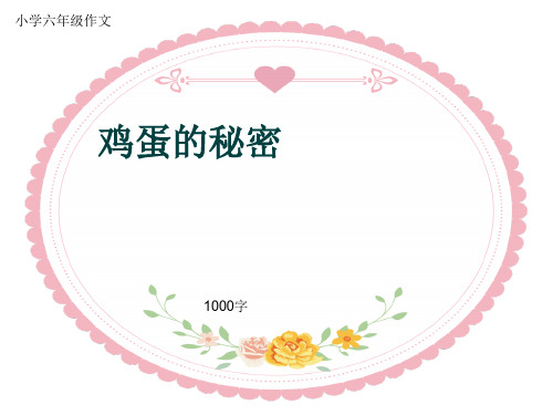 小学六年级作文《鸡蛋的秘密》1000字(共16页PPT)