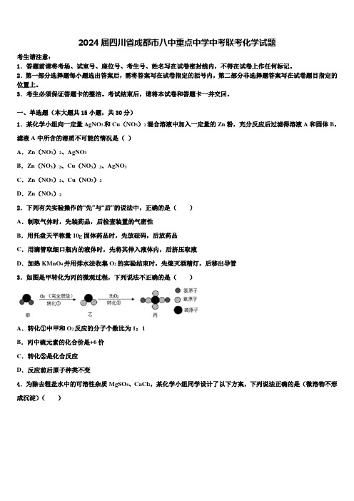 2024届四川省成都市八中重点中学中考联考化学试题含解析