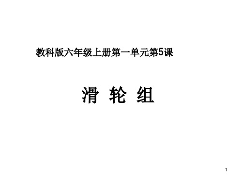 六年级科学滑轮组(课堂PPT)