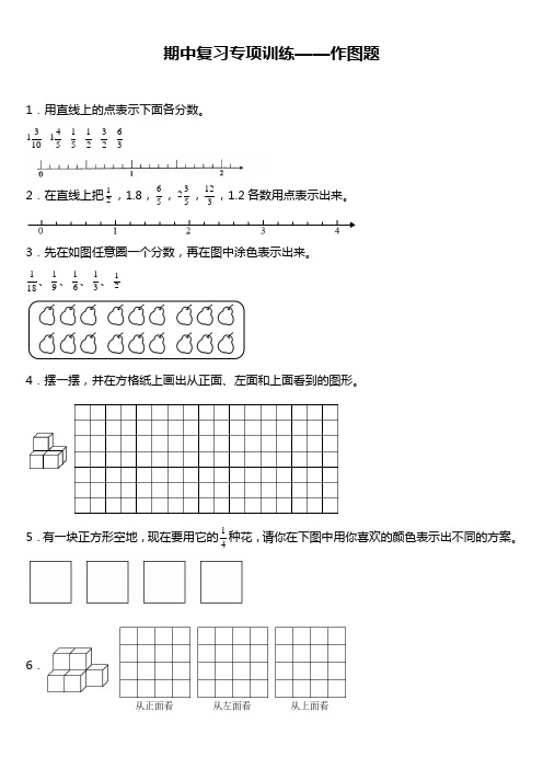 期中专项提升训练—作图题(试题)五年级下册数学 人教版