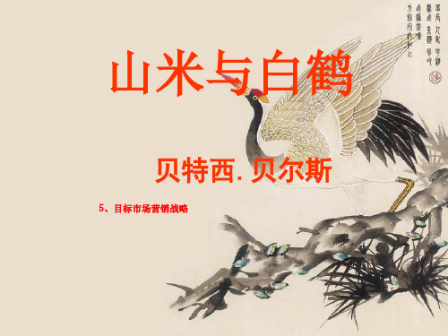 5、目标市场营销战略