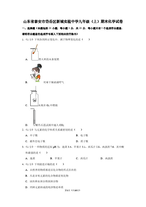 山东省泰安市岱岳区新城实验中学九年级(上)期末化学试卷