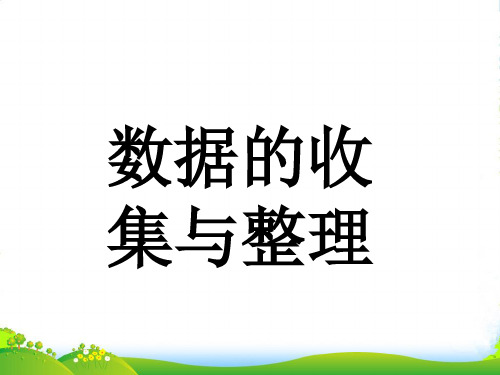 青岛版三年级下册数学课件8《数据的收集与整理》1(共13张PPT)