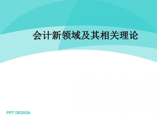 会计新领域及其相关理论(PPT 47张)