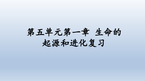 生物八年级下册：第五单元 第一章 生命的起源和进化  复习课件(共31张PPT)