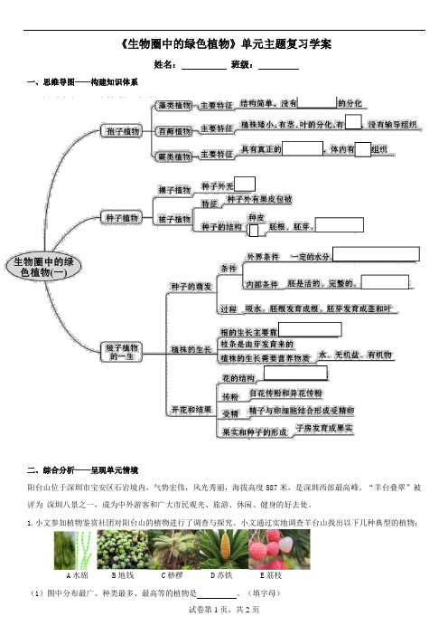 第三单元  生物圈中的绿色植物  复习学案2023-2024学年人教版生物七年级上册