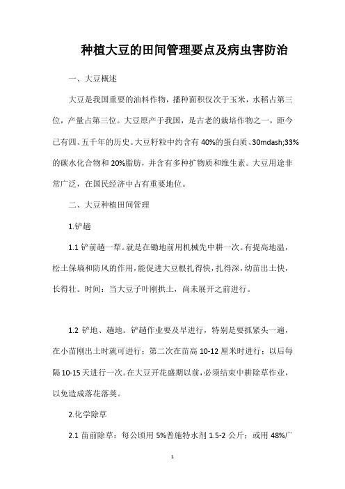 种植大豆的田间管理要点及病虫害防治