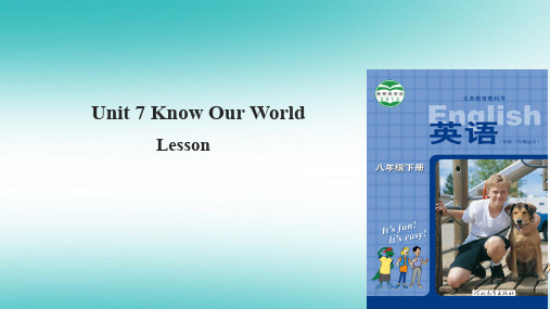 八年级英语下册Unit8SaveOurWorldLesson45Let’sSortG