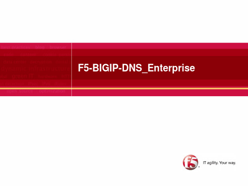 F5_DNS配置说明