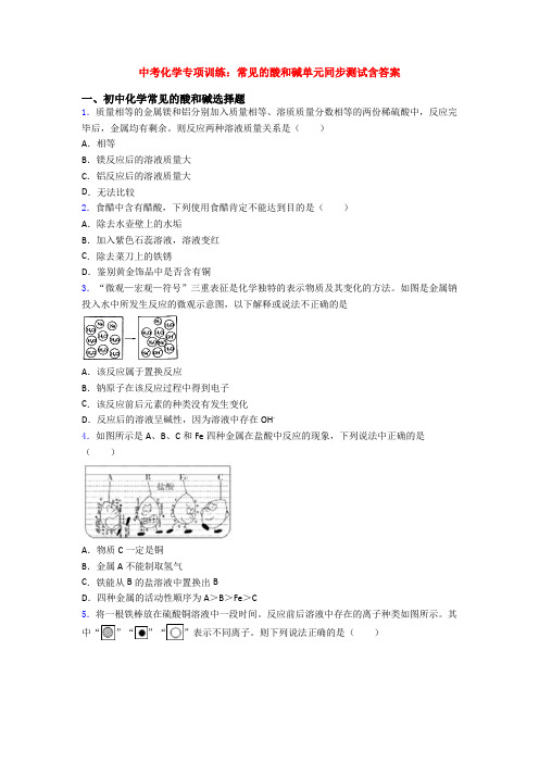 中考化学专项训练：常见的酸和碱单元同步测试含答案