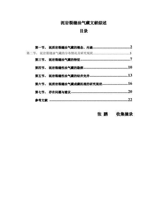 泥岩裂缝油气藏文献综述