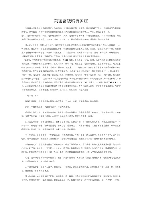 美丽富饶临沂罗庄