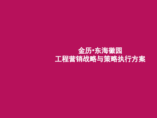 世联合肥金历东海徽园项目营销战略与策略执行方案