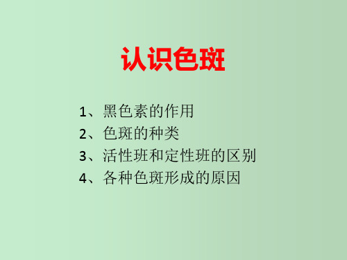 色斑介绍 各种色斑的认识 教学PPT课件