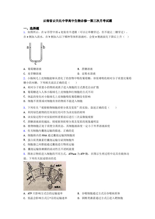 云南省云天化中学高中生物必修一第三次月考试题