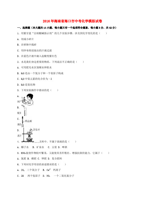 海南省海口市2016届中考化学模拟试题(含解析)