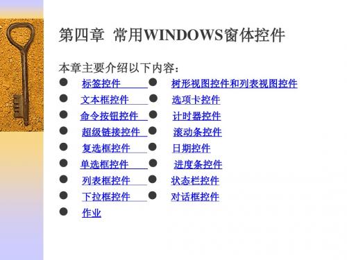 第四章_常用WINDOWS窗体控件