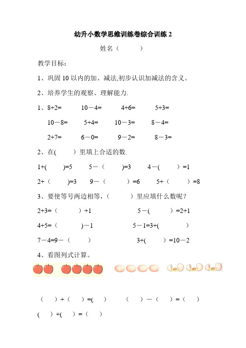 幼升小数学思维训练综合练习