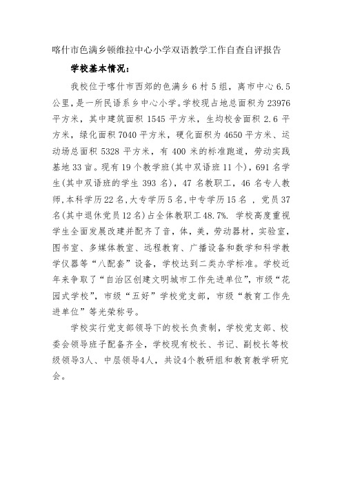 中心小学双语教学工作自查自评报告