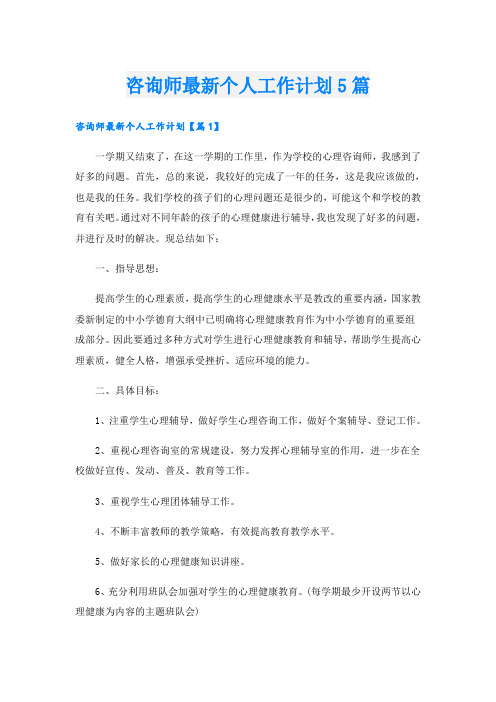 咨询师最新个人工作计划5篇