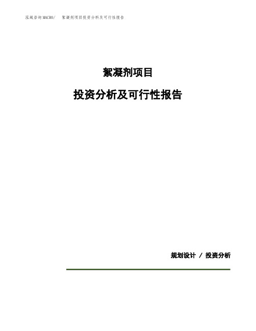 絮凝剂项目投资分析及可行性报告