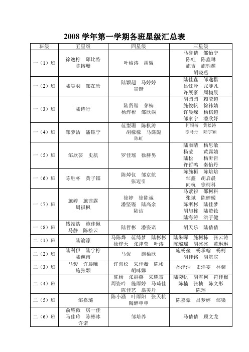 各班星级汇总表