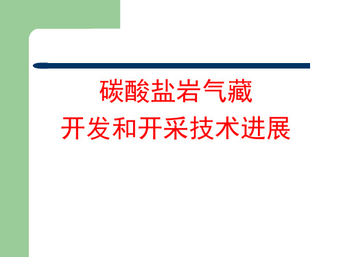 碳酸盐岩气藏开采技术进展