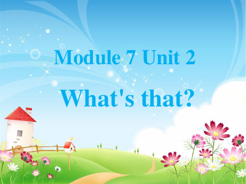 新外研版三年级英语上册Module 7 Unit 2 What is that 课件.ppt