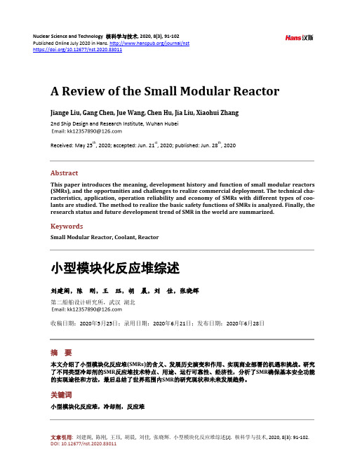 小型模块化反应堆综述