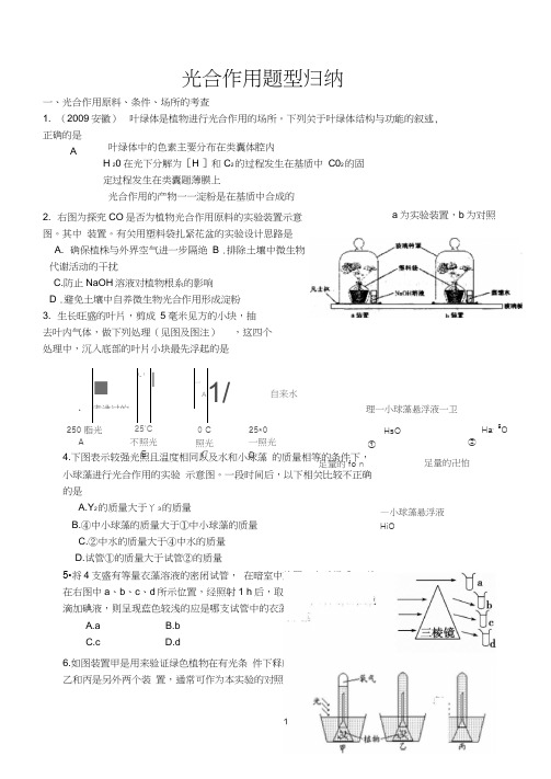 光合作用题型归纳