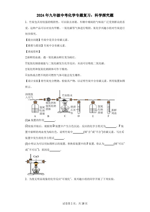 2024年九年级中考化学专题复习：科学探究题